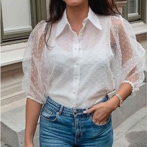 Zara Organza Puff Sleeve Blouse